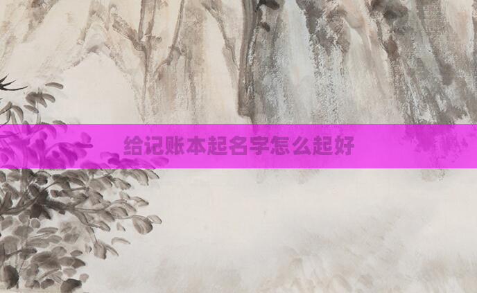 给记账本起名字怎么起好