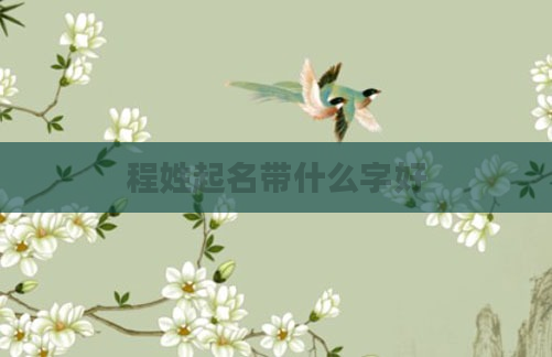 程姓起名带什么字好