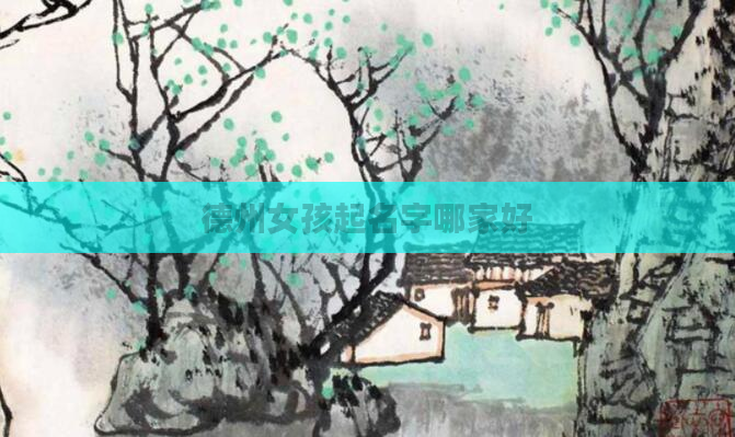 德州女孩起名字哪家好