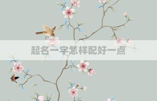 起名一字怎样配好一点