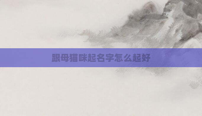 跟母猫咪起名字怎么起好
