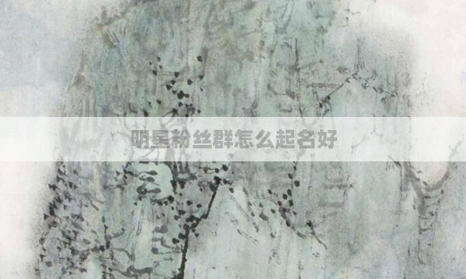 明星粉丝群怎么起名好