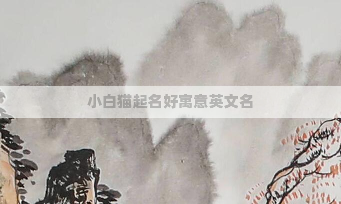 小白猫起名好寓意英文名
