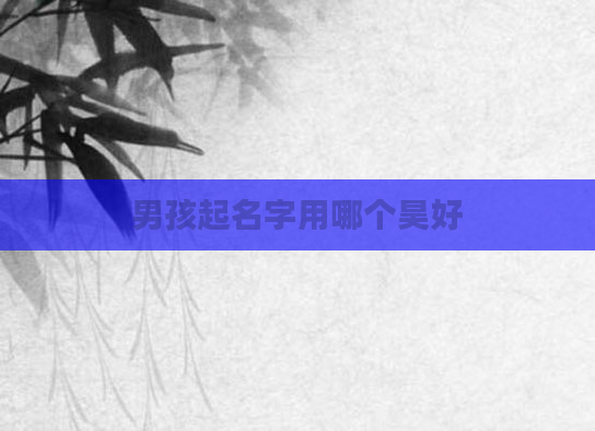 男孩起名字用哪个昊好