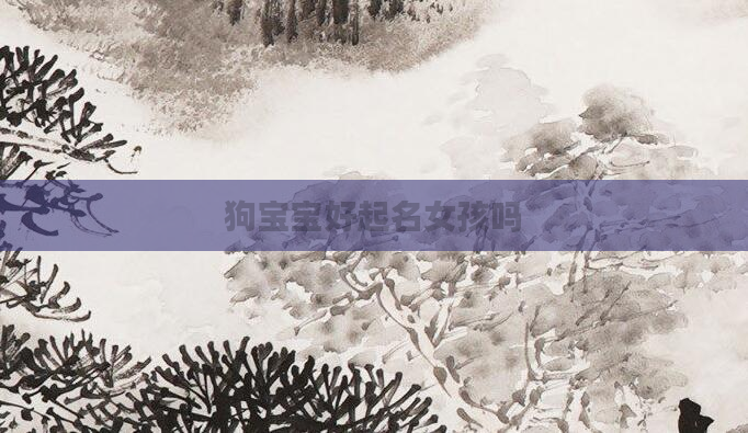 狗宝宝好起名女孩吗