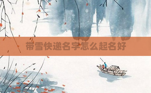 带雪快递名字怎么起名好