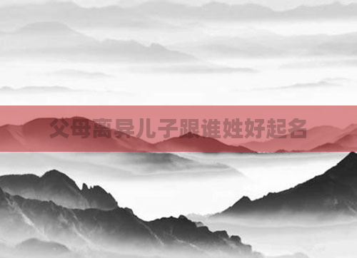父母离异儿子跟谁姓好起名