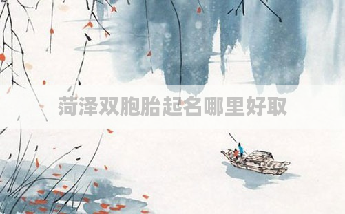 菏泽双胞胎起名哪里好取