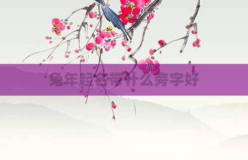兔年起名带什么旁字好
