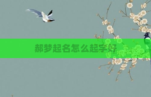 郝梦起名怎么起字好