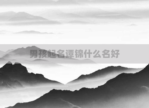 男孩起名谭锦什么名好