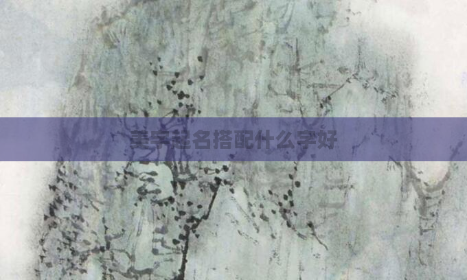 美字起名搭配什么字好