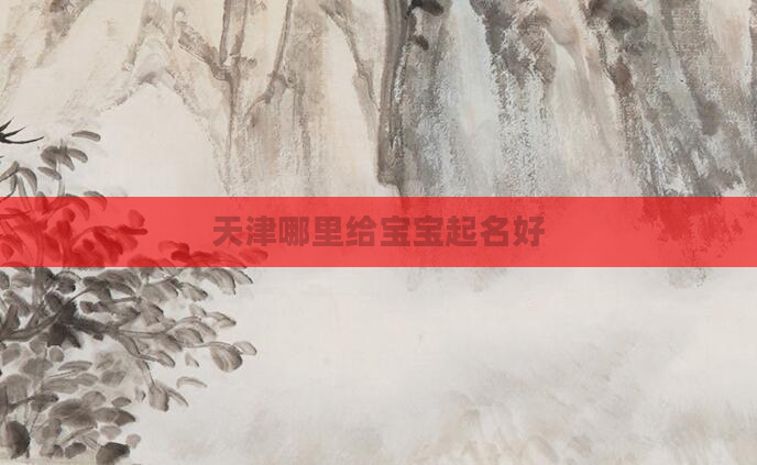 天津哪里给宝宝起名好