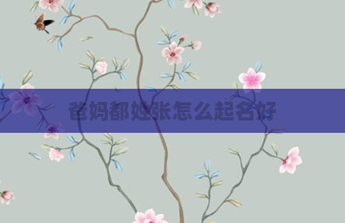 爸妈都姓张怎么起名好