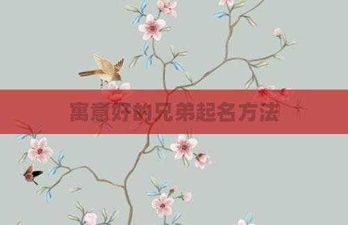 寓意好的兄弟起名方法