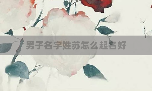 男子名字姓苏怎么起名好