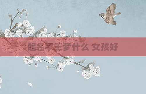 起名字王梦什么 女孩好