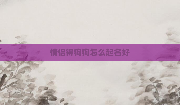 情侣得狗狗怎么起名好