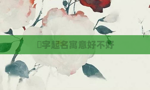 琋字起名寓意好不好