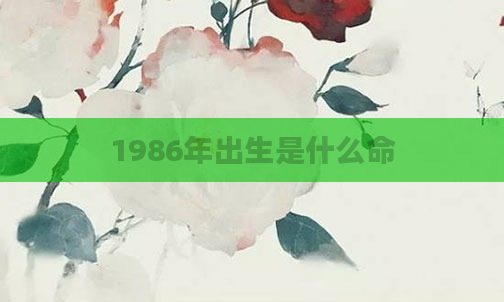 1986年出生是什么命