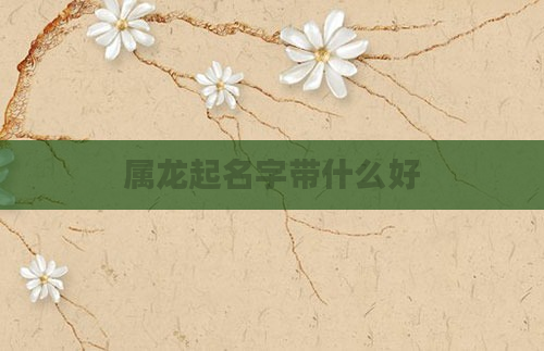属龙起名字带什么好