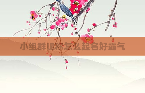 小组群昵称怎么起名好霸气