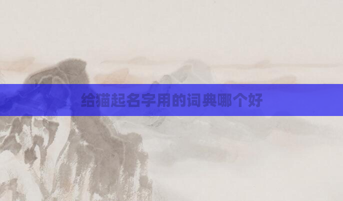 给猫起名字用的词典哪个好