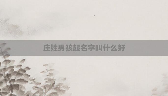 庄姓男孩起名字叫什么好