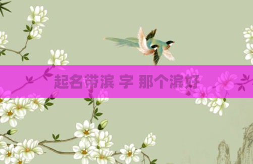 起名带滨 字 那个滨好