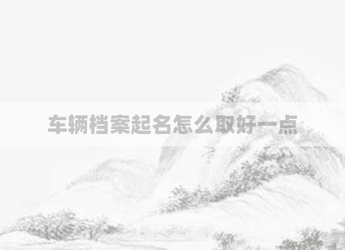 车辆档案起名怎么取好一点
