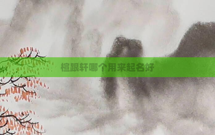 楦跟轩哪个用来起名好