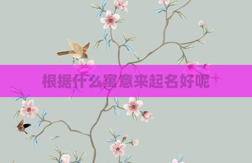 根据什么寓意来起名好呢