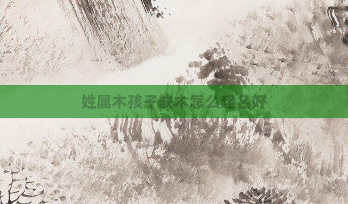 姓属木孩子缺木怎么起名好