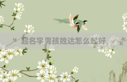 起名字男孩姓达怎么起好
