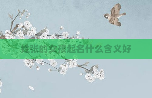 姓张的女孩起名什么含义好