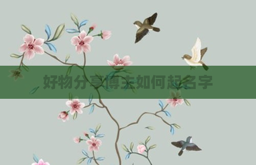 好物分享博主如何起名字