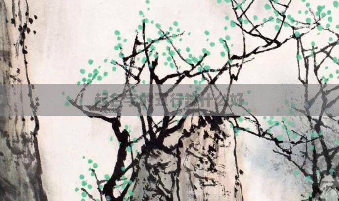 起名字的五行缺什么好