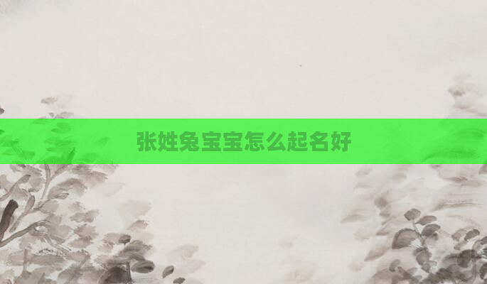 张姓兔宝宝怎么起名好