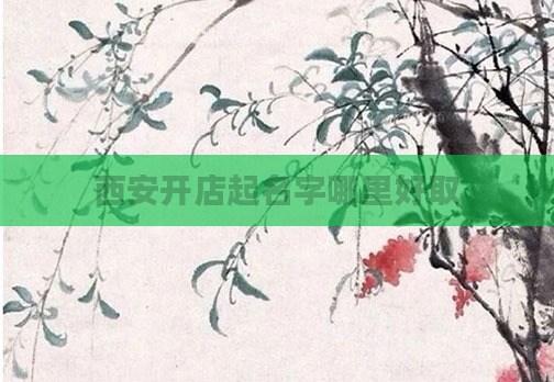 西安开店起名字哪里好取