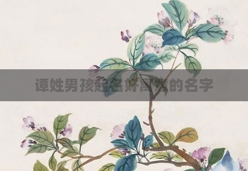 谭姓男孩起名好寓意的名字