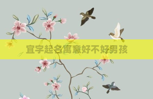 宜字起名寓意好不好男孩