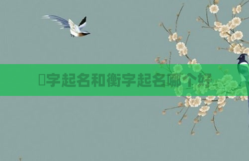 朣字起名和衡字起名哪个好