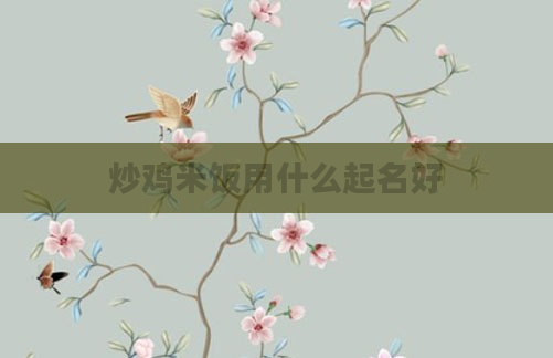 炒鸡米饭用什么起名好