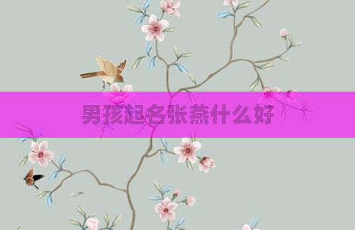 男孩起名张燕什么好