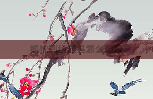 抱枕刺绣起名怎么起好