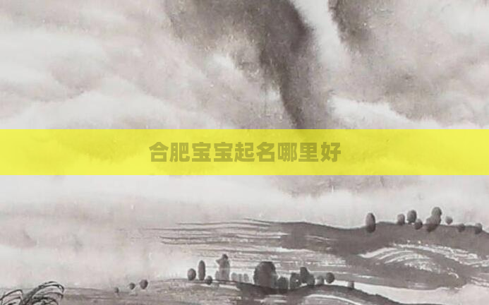 合肥宝宝起名哪里好