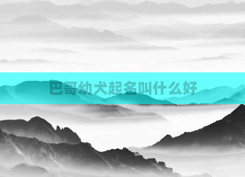 巴哥幼犬起名叫什么好