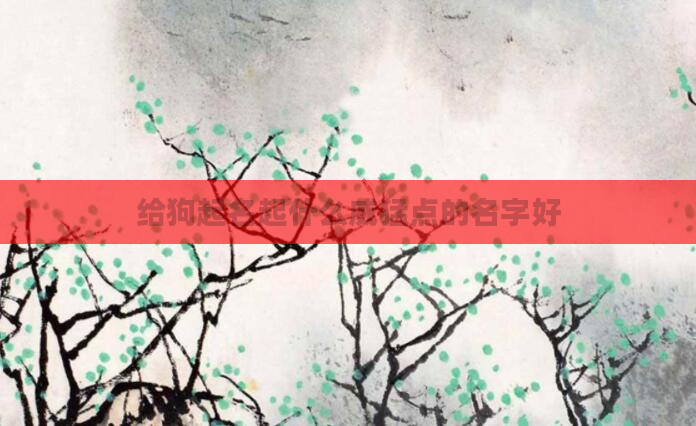 给狗起名起什么威猛点的名字好
