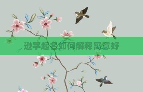 逊字起名如何解释寓意好
