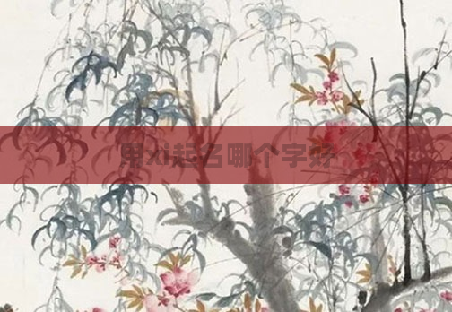 用xi起名哪个字好